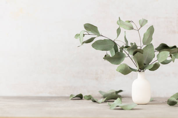 istock Green eucalyptus leaves in vase. Front view. Place for text, copy space, mockup. 1433059032