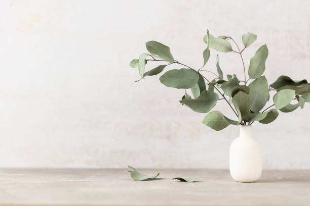 istock Green eucalyptus leaves in vase. Front view. Place for text, copy space, mockup. 1433059151