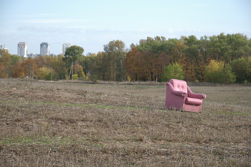 Red or pink armchair in the field background sky