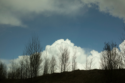 Forest and clouds. Landscape with silhouettes of trees. Natural location. Large white cloud behind forest.