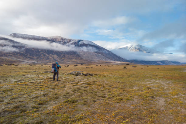 Hiker walking through remote arctic valley on a partly cloudy summer day. Dramatic arctic landscape of Akshayuk Pass, Baffin Island, Canada. Grass and moss in autumn colors. Wild north.