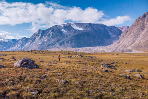 Hiker walking through remote arctic valley on a sunny summer day. Dramatic arctic landscape of Akshayuk Pass, Baffin Island, Canada. Wild north.