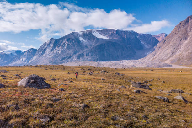 Hiker walking through remote arctic valley on a sunny summer day. Dramatic arctic landscape of Akshayuk Pass, Baffin Island, Canada. stock photo