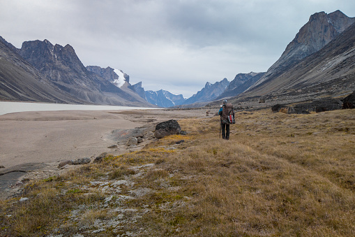 Hiker with a heavy backpack walking in remote arctic valley on a cloudy day. Dramatic arctic landscape of Akshayuk Pass, Baffin Island, Canada. Mt.Breidablik and Mt. Thor in the distance. Wild north