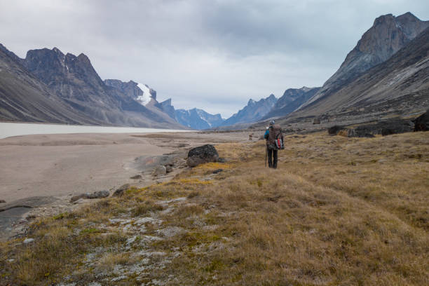 Hiker with a heavy backpack walking in remote arctic valley on a cloudy day. Dramatic arctic landscape of Akshayuk Pass, Baffin Island, Canada. Mt.Breidablik and Mt. Thor in the distance. Wild north. stock photo