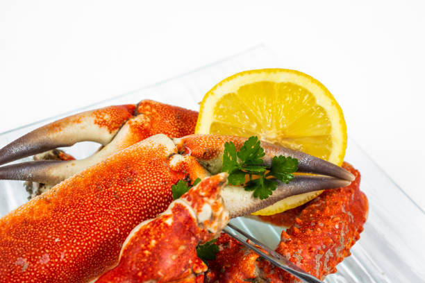 Beautiful crab shell isolated on white background