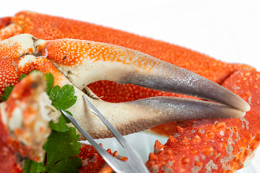 Studio shot of spider crab claws with slice of lemon and mayonnaise