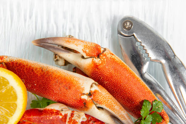 istock Studio shot of spider crab claws 1433063601