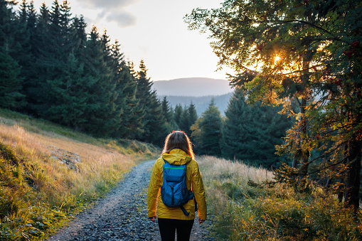 Woman with backpack and yellow jacket hiking in mountains on trekking trail during sunset. Female hiker walking on footpath in forest