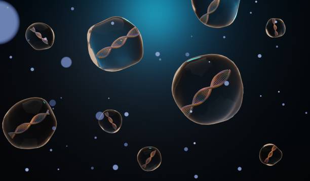 istock 3d render Helix complementary strand of DNA of RNA. Sequences genetic code or genome. Gene expression. nucleotide database. The Central Dogma process of transcription and translation. Human gene. 1433064196