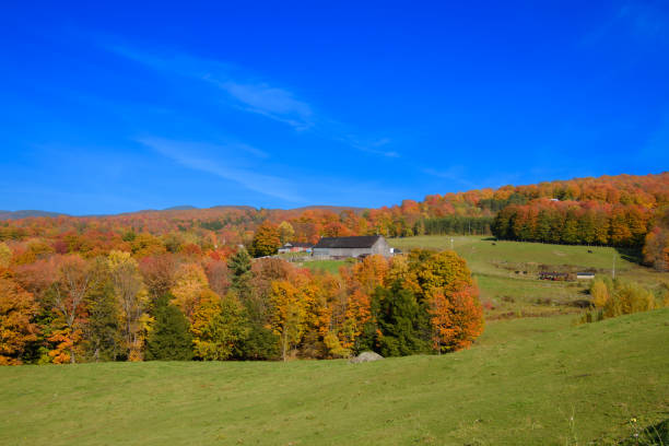 istock fall colors in the Canadian countryside 1433066160