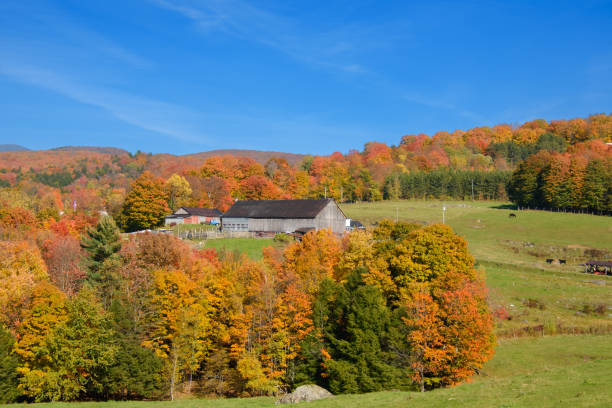 istock fall colors in the Canadian countryside 1433066227