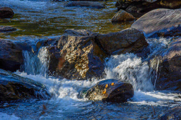 istock autumn landscapes near a river 1433066337