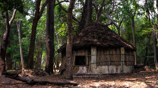 istock Old log abandoned wooden cabin inside a forest 1433066412