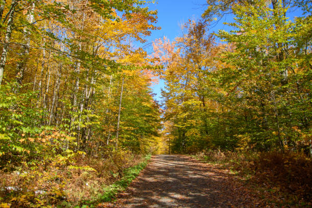 istock fall colors in the Canadian countryside 1433066569