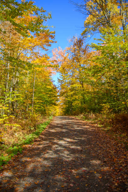 istock fall colors in the Canadian countryside 1433066571