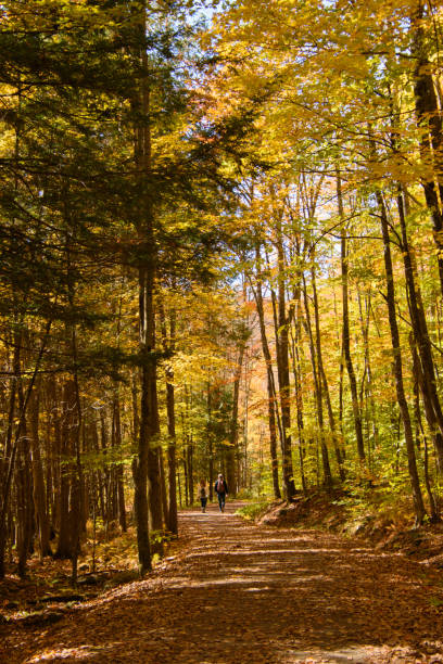 istock fall colors in the Canadian countryside 1433067487