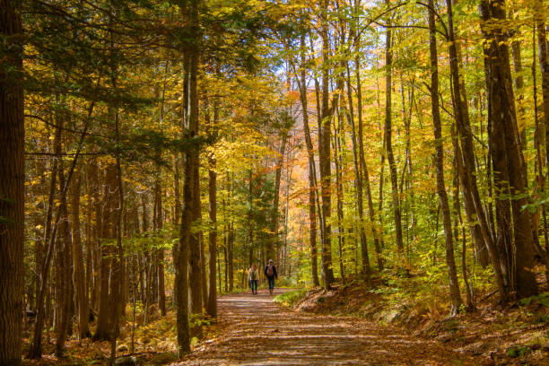 istock fall colors in the Canadian countryside 1433067502