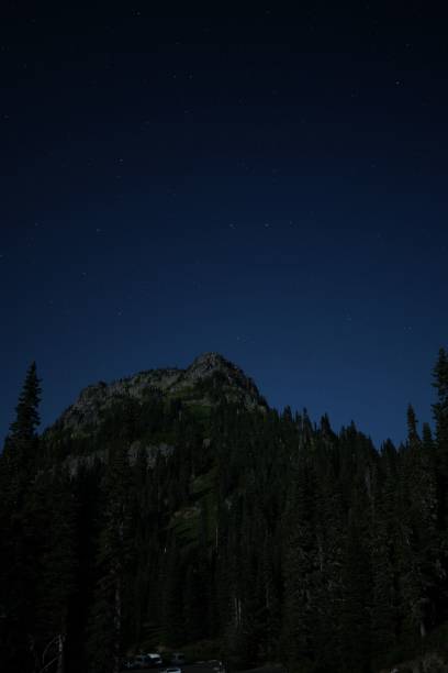 Vertical shot of a starry blue evening sky over a park and mountains