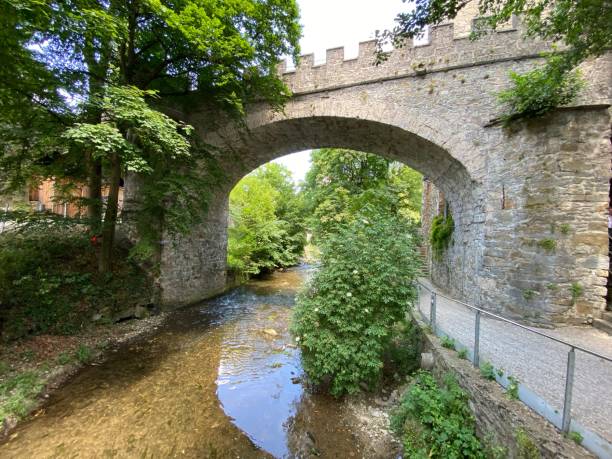 istock Old Arch bridge on the reflective river surrounded by bushes and trees 1433070773