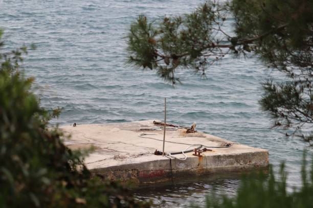 istock Pine tree branches and a small concrete pier over the sea in the background 1433071387