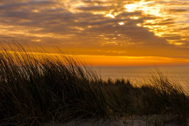 istock Silhouette view of the beach at sunset 1433071575