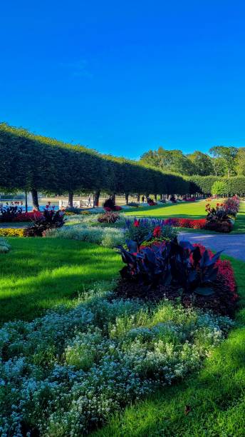istock Vertical shot of a beautiful park with exotic flowers a greenery 1433072000