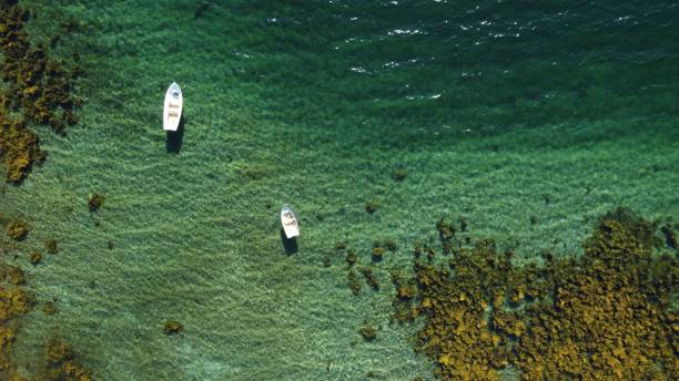 vista aérea de uma costa marítima musgo com barcos em um dia ensolarado brilhante - bech - fotografias e filmes do acervo
