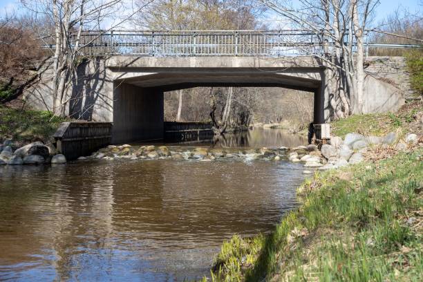 istock Bridge over a river in the park on a sunny day 1433072865