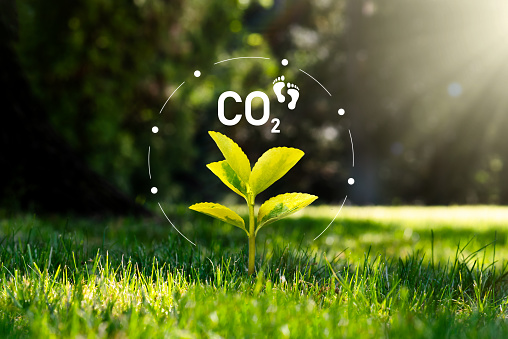 Emisiones de dióxido de carbono, concepto de huella de carbono photo