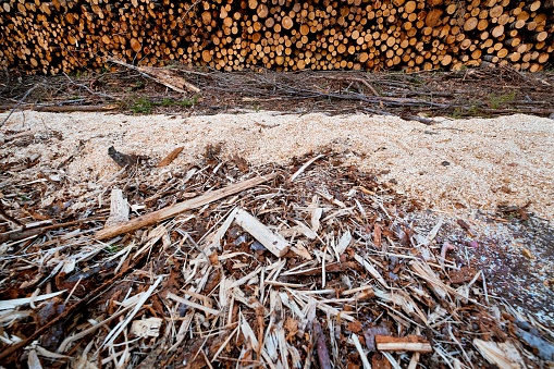 A top view of dry twigs on the ground with stack of wooden logs in the background