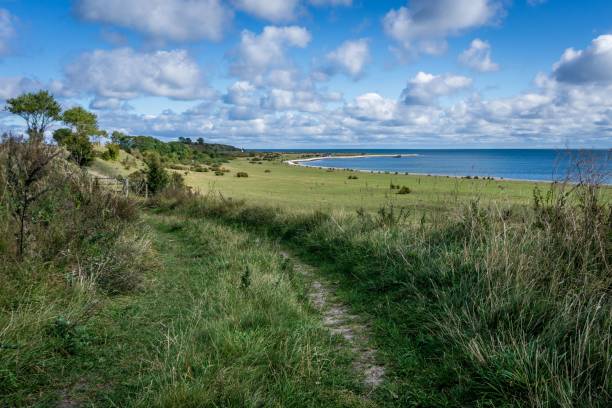 istock Aerial view of sea surrounded by greenery beach 1433073935