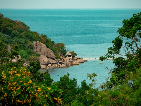 The beautiful view of the green shoreline with turquoise sea. Holiday in Thailand, Koh Tao.