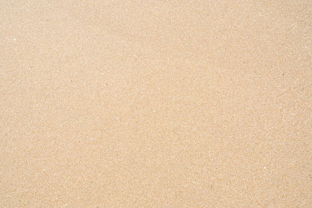 Clean smooth sand texture, wet sandy textured, tropical background stock photo