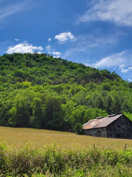 istock North Carolina countryside 1433074837