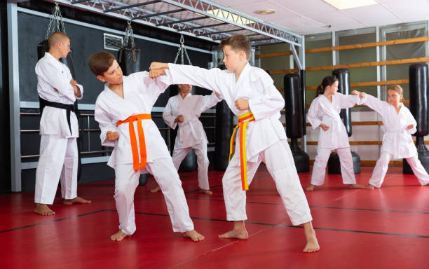 istock Two boys working in pair, mastering new karate moves 1433075689