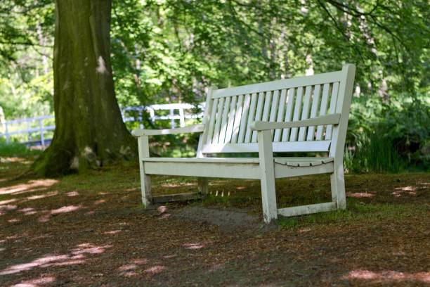 istock White wooden bench in the green park 1433075920