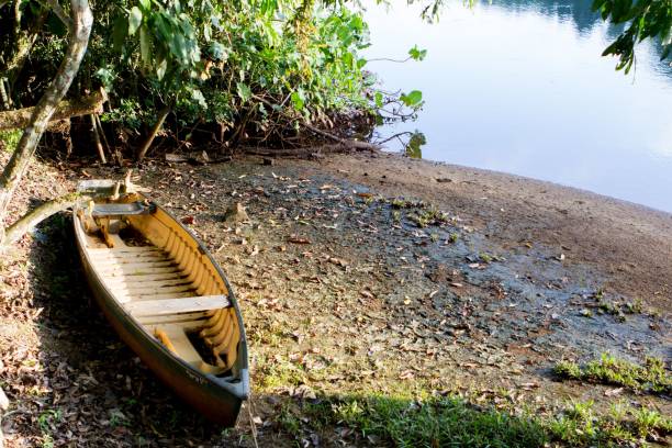 istock Abandoned boat at the shore of a tropical river 1433075922
