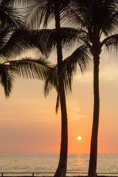 istock Vertical shot of the sea at sunset 1433076938