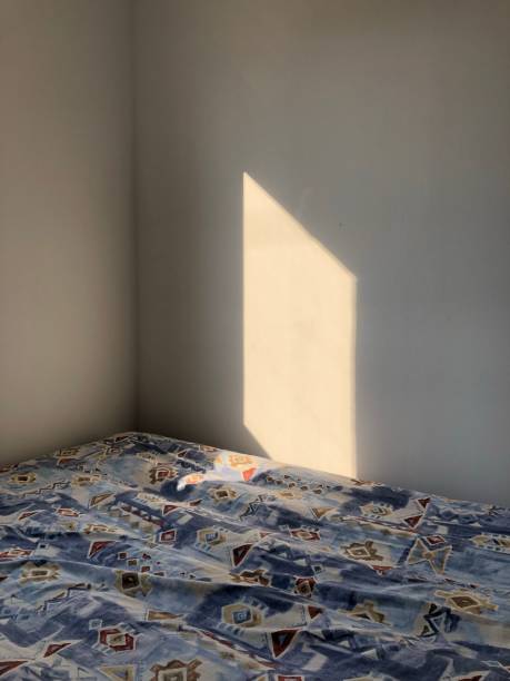 istock Vertical shot of sunlight inside the room on the wall 1433076974