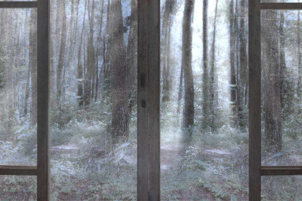 istock Windows and door in an abandoned house 1433077794