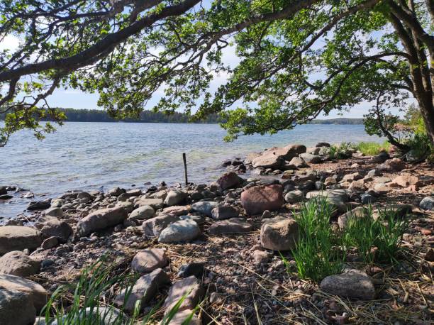 istock Rocks under green tree on the lakeshore on a sunny day 1433077889