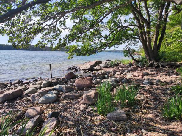 istock Rocks under green tree on the lakeshore on a sunny day 1433077895