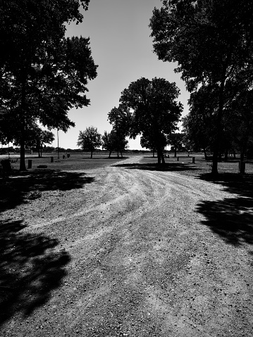A vertical grayscale of a park in Brady with trees and dusty path