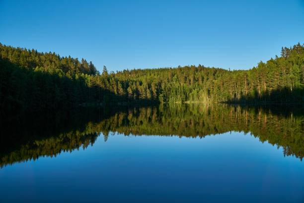 istock Beautiful clear blue lake surrounded by green forest trees on the shore 1433078243