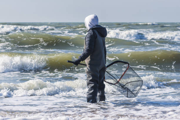Amber catching in the Baltic Sea. Amber catcher or fisherman with fisherman's coat and boots into the sea among big waves using a scooping or fishing net