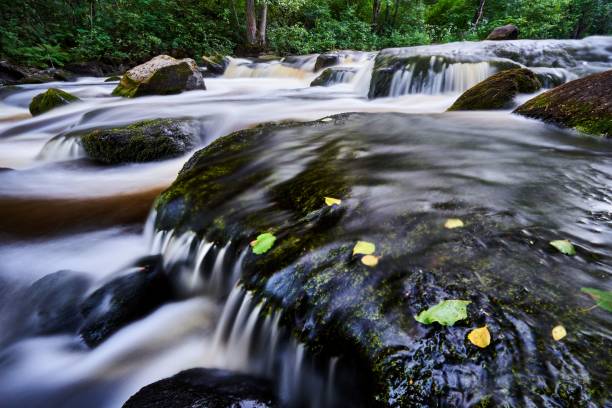 istock Long exposure shot of a waterfall flowing over mossy rocks in a forest 1433078925