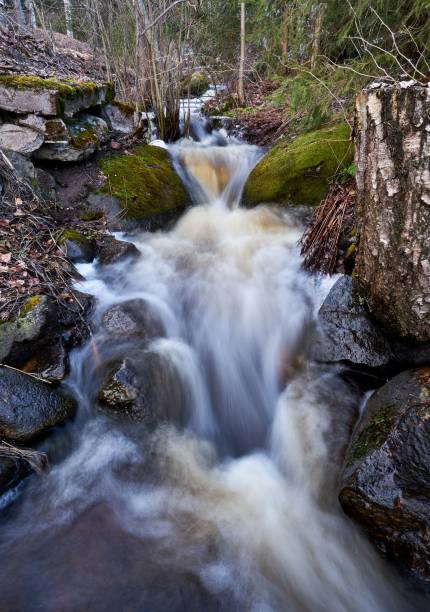 istock Vertical shot of a beautiful foamy cascade flowing down a mossy rock formation 1433080069
