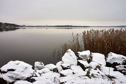The snow-covered rocks and reeds on the shore