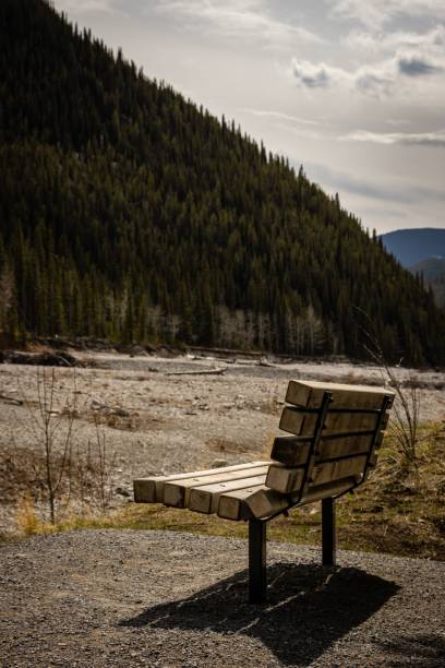 istock Bench in a park facing a dense fir forest on a hill 1433081246